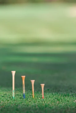 Pride 2 3/4" PTS Pro Length Tees -Best Golf Sale Store 9765862 800 auto